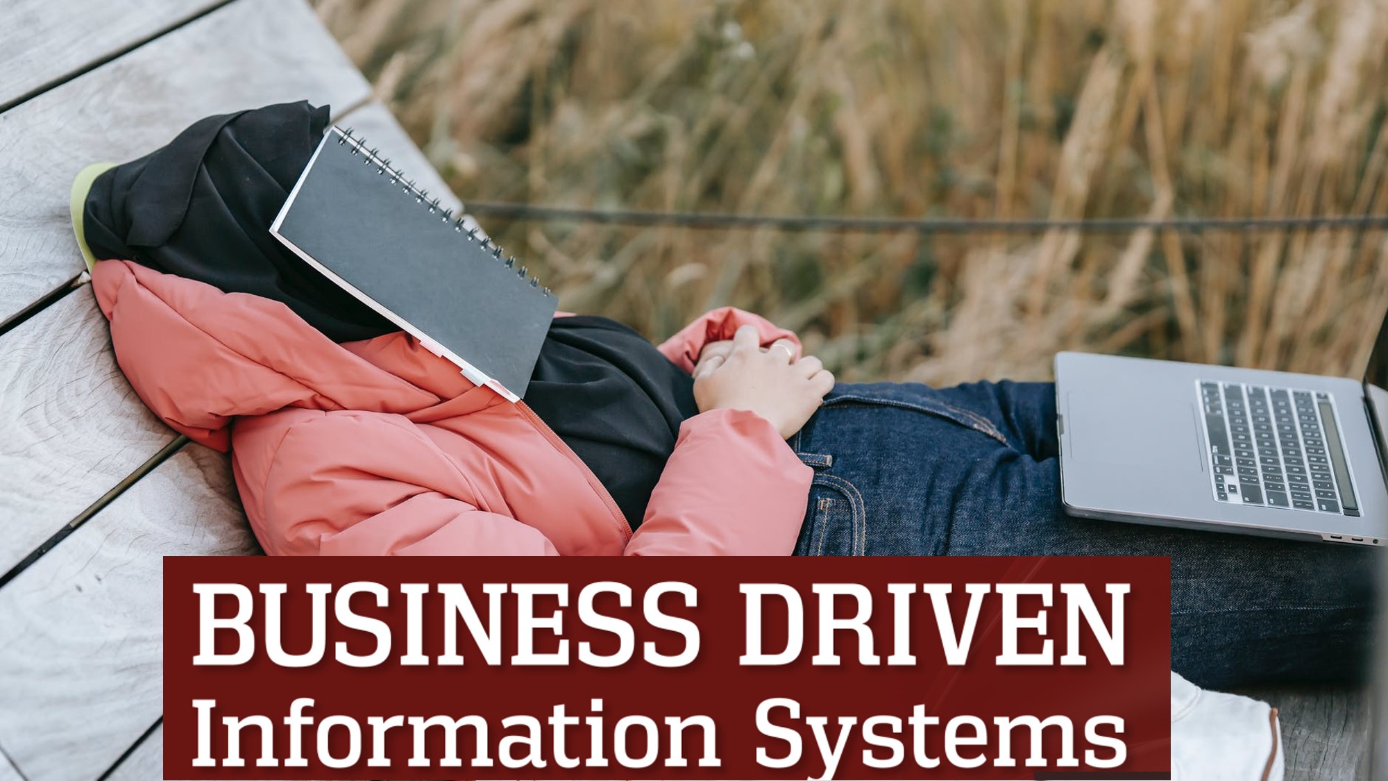 MIST 201: Business Driven Information Systems